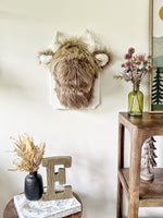 Highland Cow Wall Mount